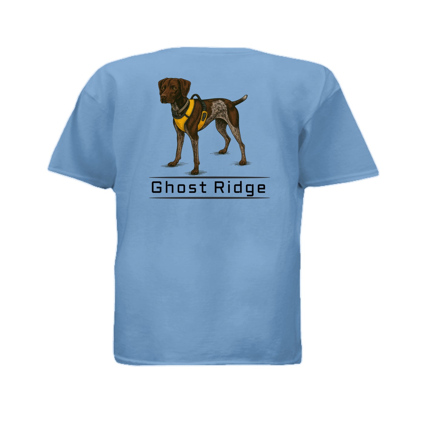 CAROLINA BLUE - BACK